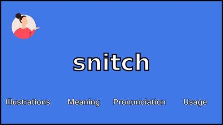 What does snitch mean in slang?