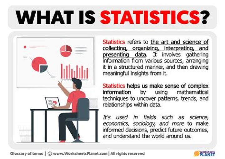 What does statistics mean in history?