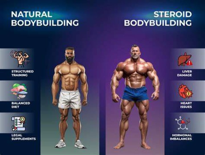 What does steroids do to muscles?