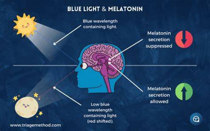 What does the blue light do to your brain?