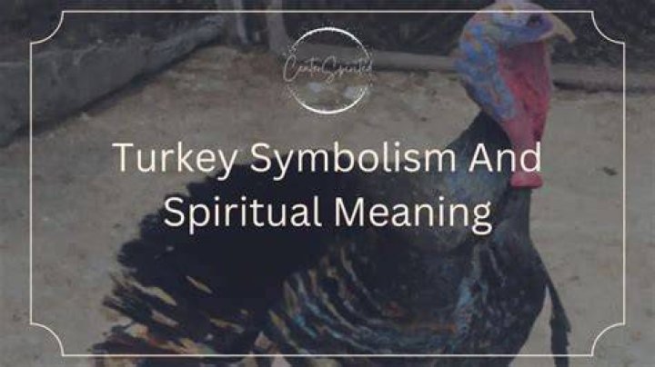 What does Turkey mean in golf?