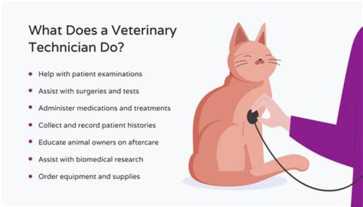 What does vet rest mean?