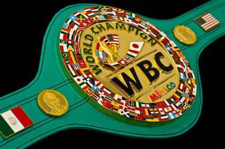 What does WBC stand for in boxing?