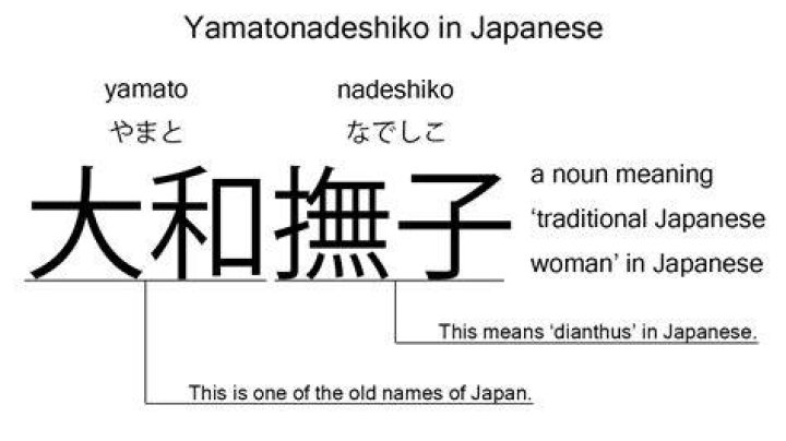 What does Yamato mean in Japanese?