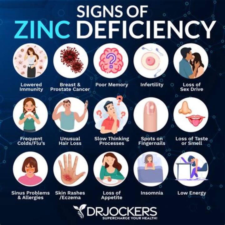 What does zinc do for females?