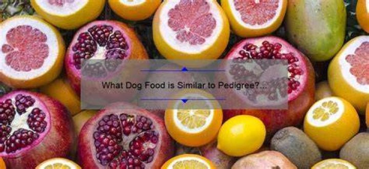 What dog food is similar to pedigree?
