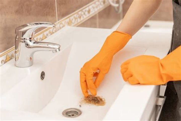 What eats through hair in a drain?