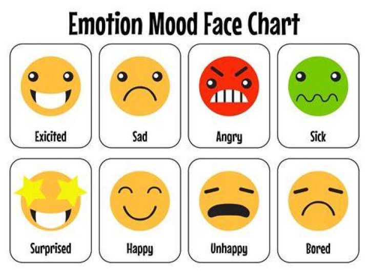 What emotions are stored in face?