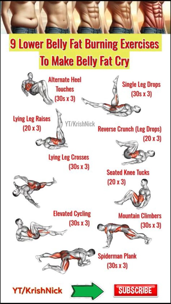 What exercises burn fat in stomach?