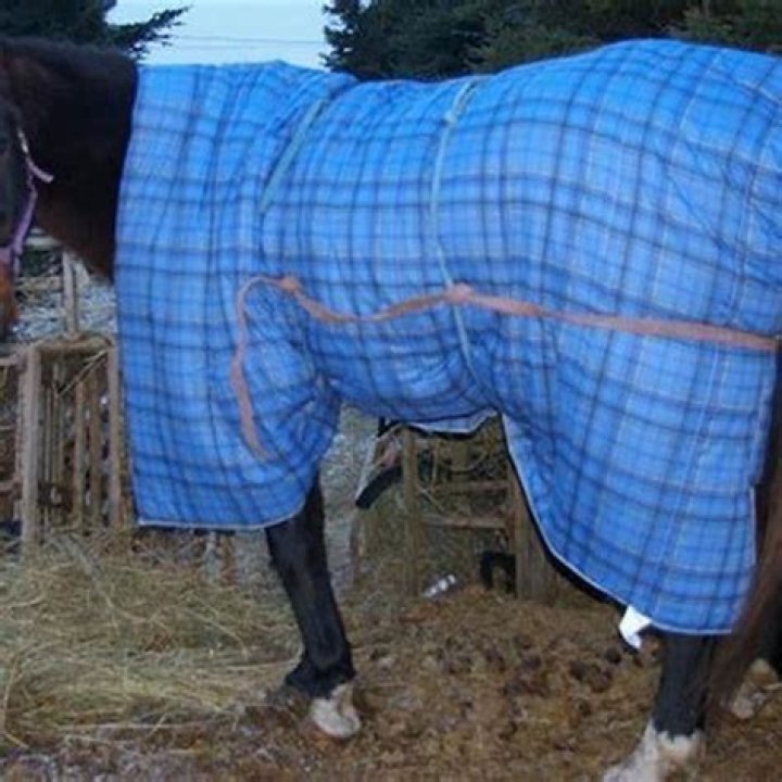 What fabric are horse blankets made of?