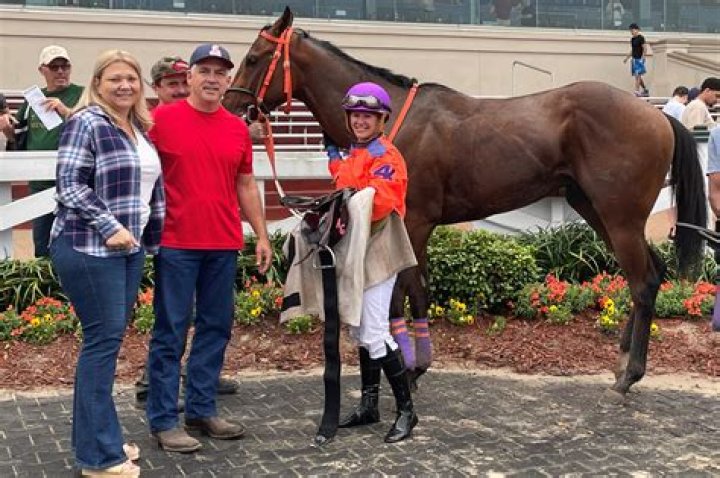 What famous racehorse was stolen?