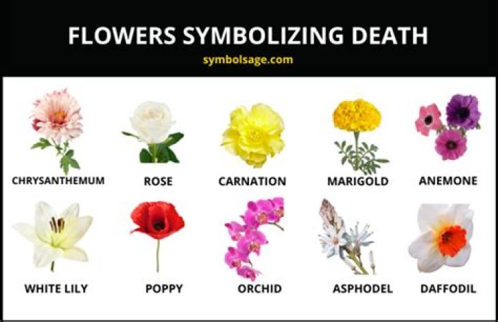 What flowers represent death?