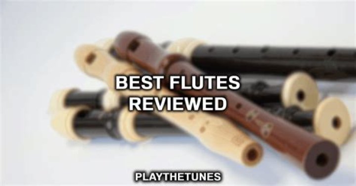 What flutes do professionals play?