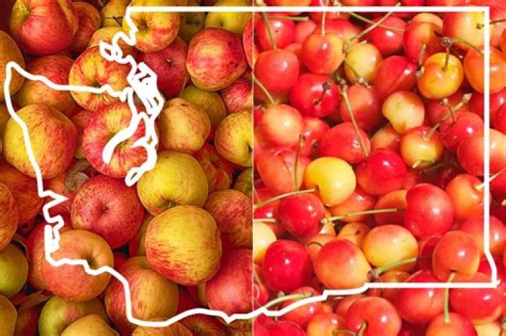 What food is Washington state known for?