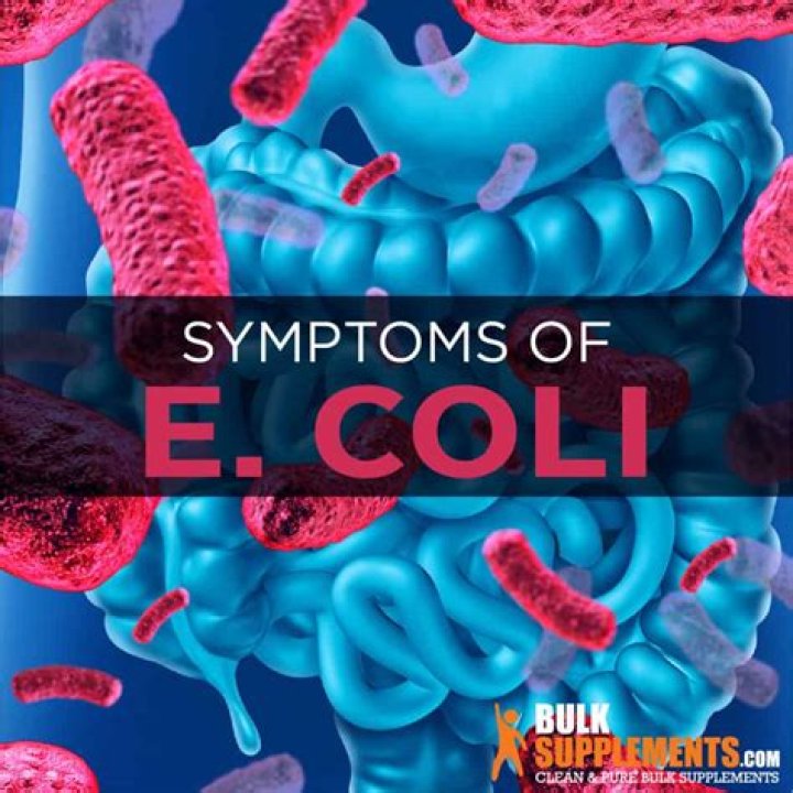 What foods cause E. coli?