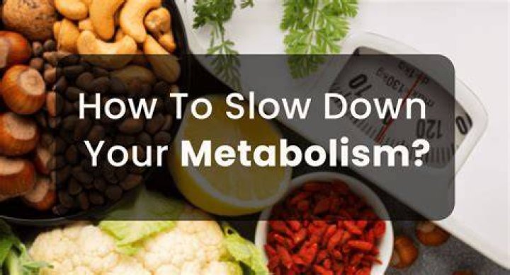 What foods slow your metabolism down?
