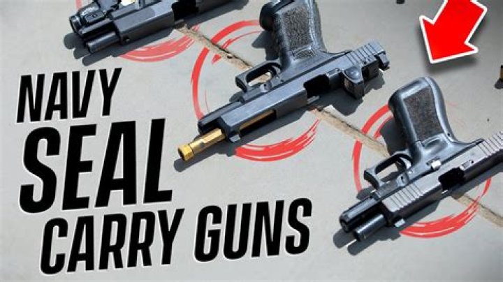 What guns do Navy Sailors carry?