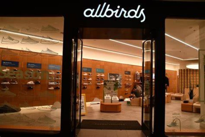 What happened to Allbirds?