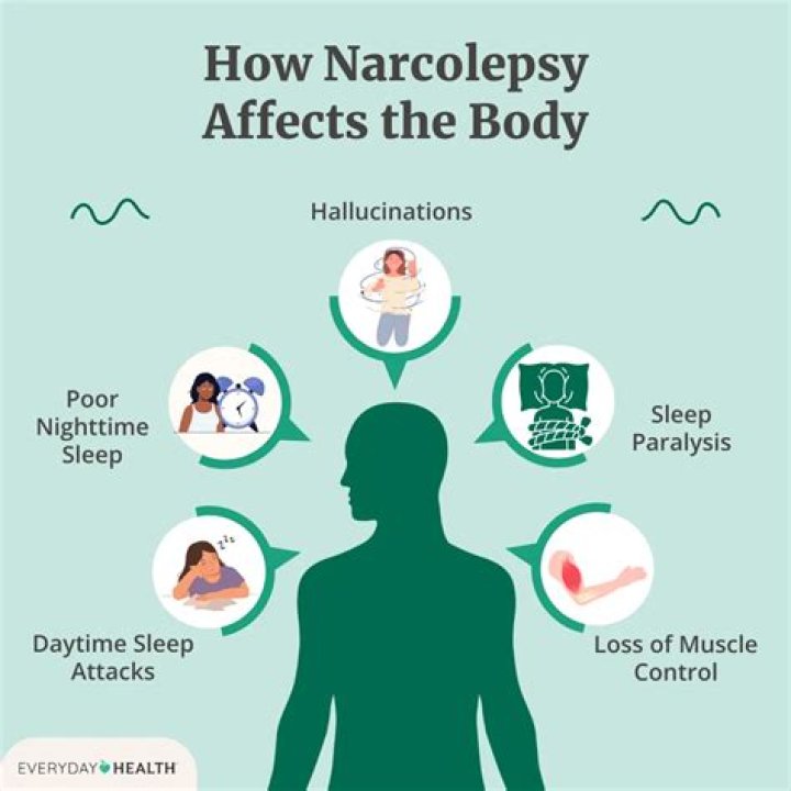 What happens during a narcoleptic episode?