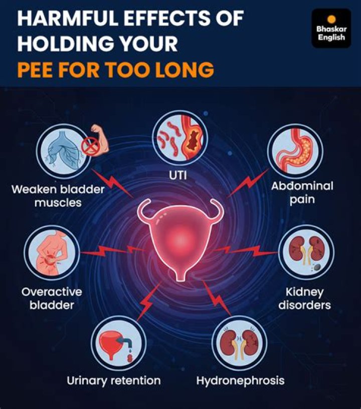 What happens if you hold your pee for too long?