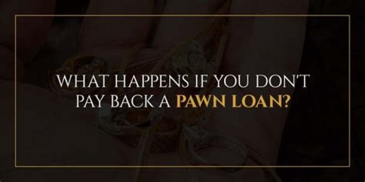 What happens if you pawn something and don't pay?