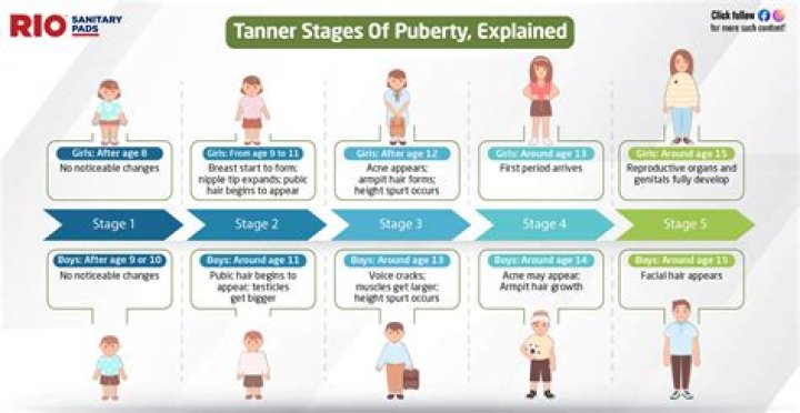 What happens to the male body at 25?