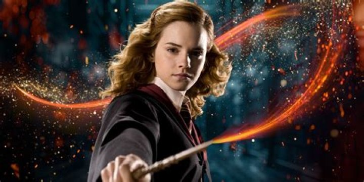 What happens when a Muggle touches a wand?