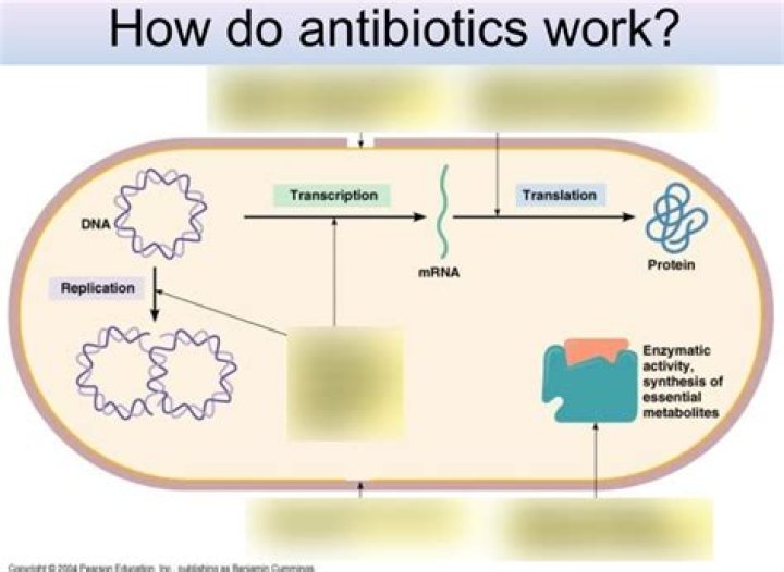What happens when antibiotics don't work?
