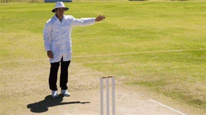 What height is a no ball in cricket?