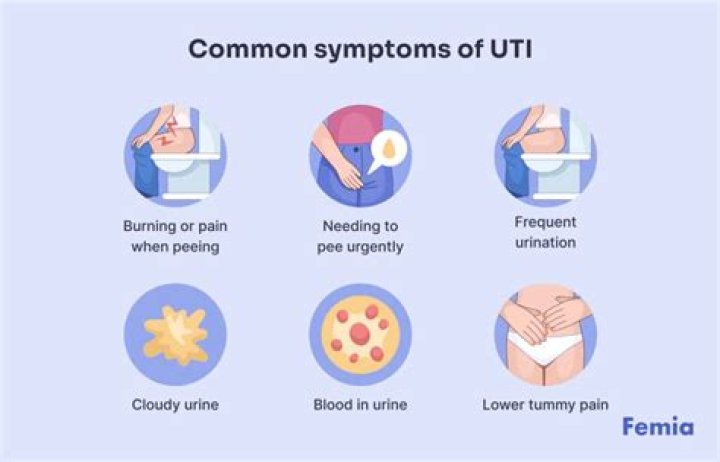What helps UTI pain at night?