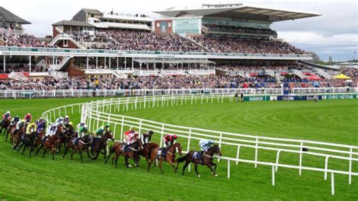 What horse won the Aintree Grand National?