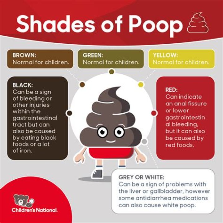 What if my cat hasn't pooped in a week?