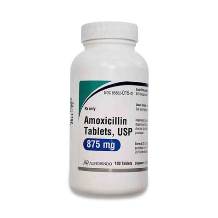 What infections does amoxicillin 875 mg treat?