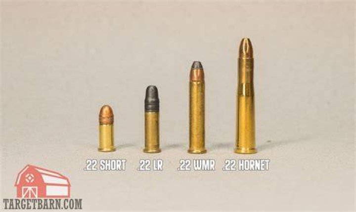What is .22 caliber in mm?
