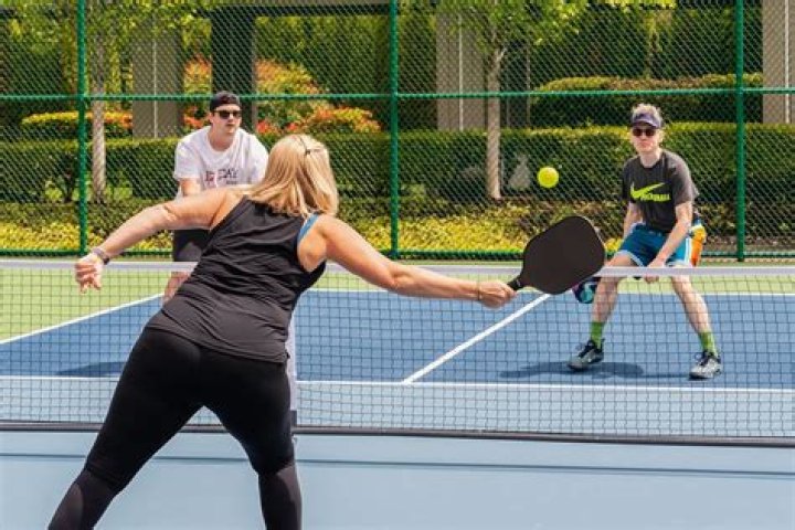 What is a 2.0 pickleball player?