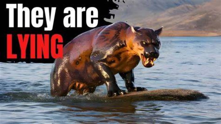 What is a bunyip in Australia?