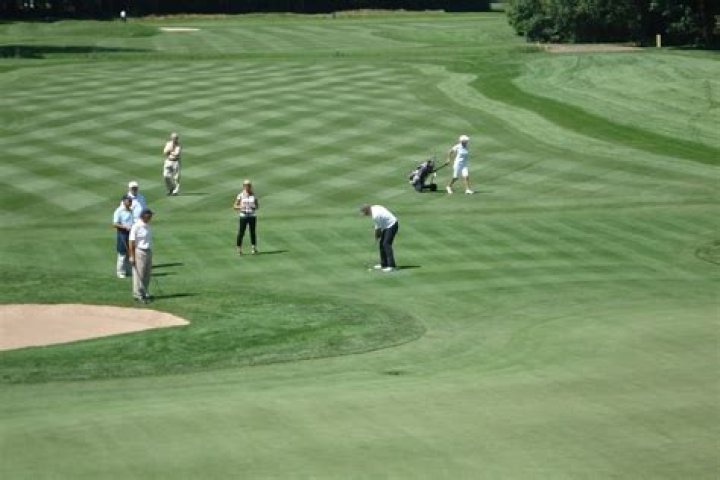 What is a fairway driver golf?