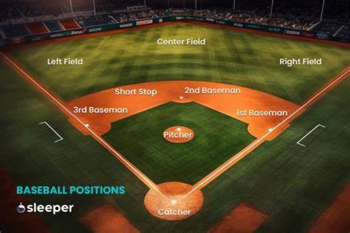 What is a fight in baseball called?