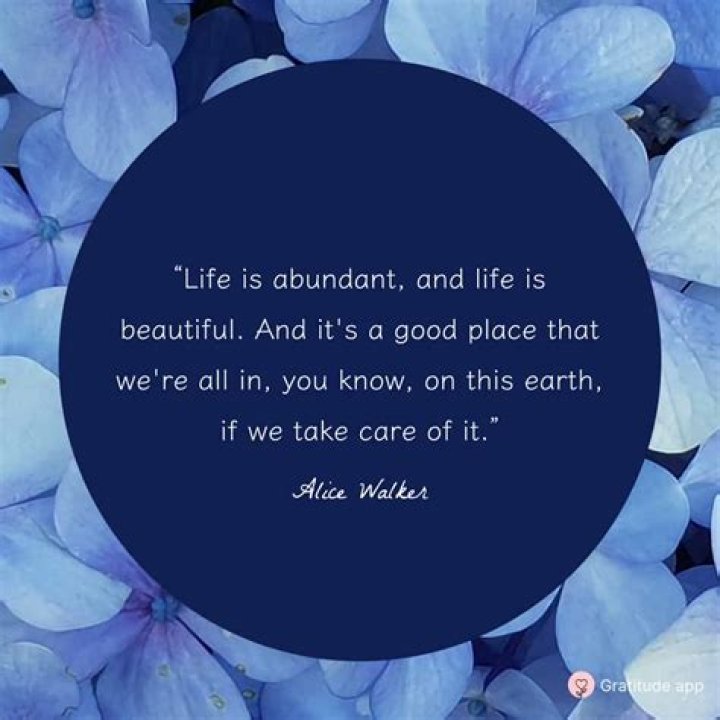 What is a good quote about life?