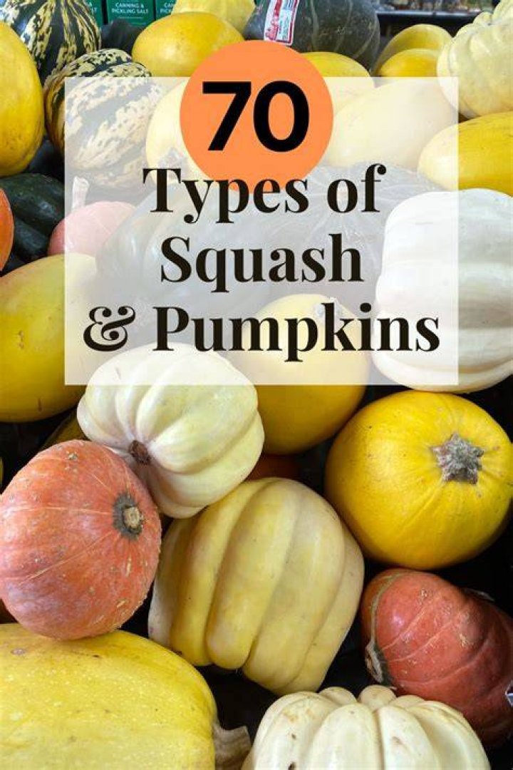 What is a good service in squash?