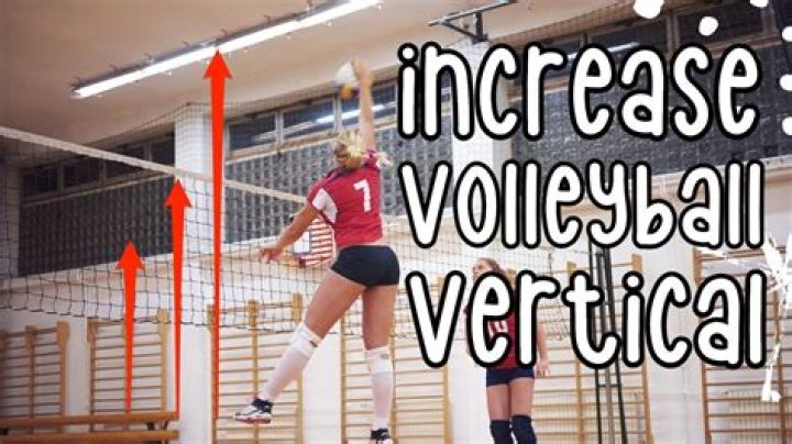 What is a good vertical for volleyball?