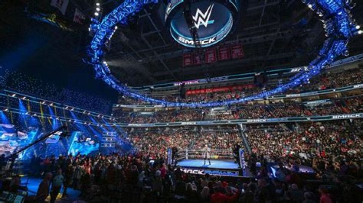 What is a grudge match in WWE?