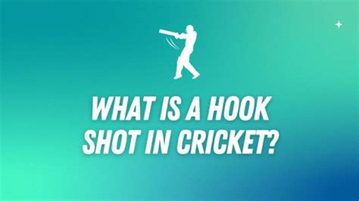 What is a hook in cricket?