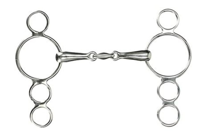 What is a hunter gag bit?
