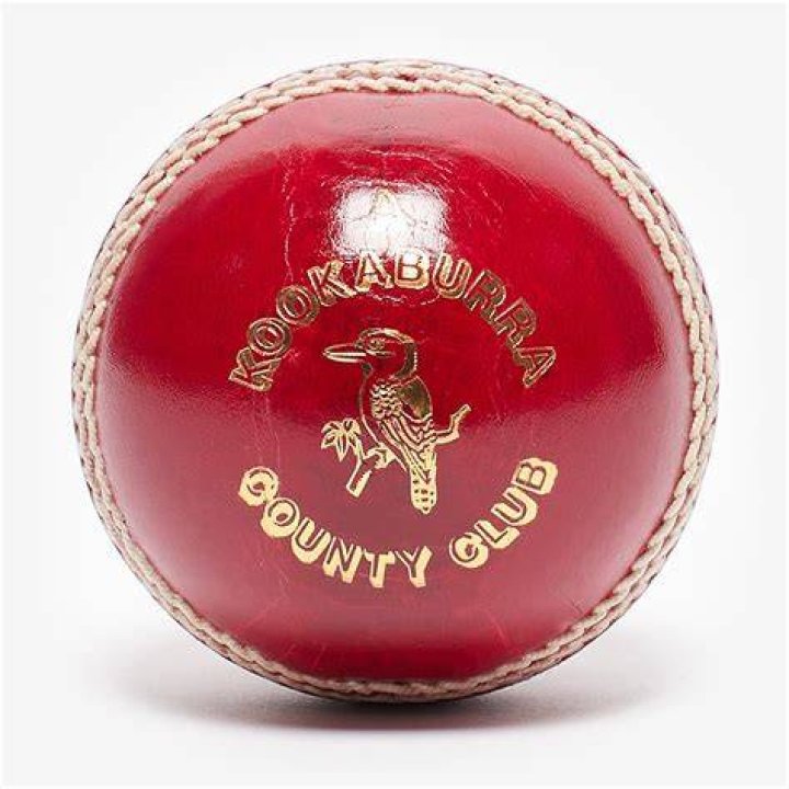What is a Kookaburra cricket ball?