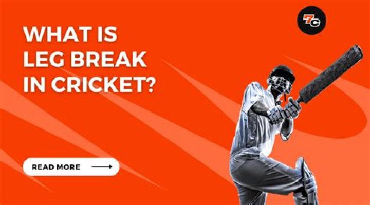 What is a leg-break in cricket?