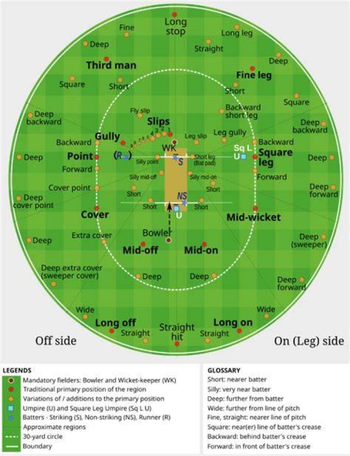 What is a Level 1 offense in cricket?