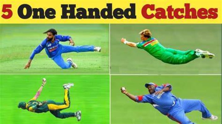 What is a low catch in cricket?