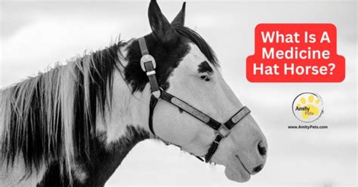 What is a Medicine Hat?