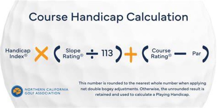 What is a net handicap?